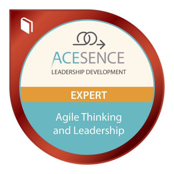 Agile Thinking and Leadership Expert